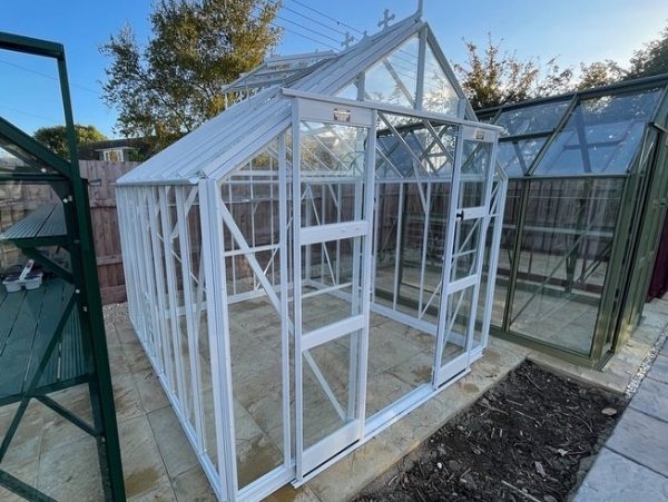 ELITE Greenhouse Thyme 8'5 x 8'5. On display